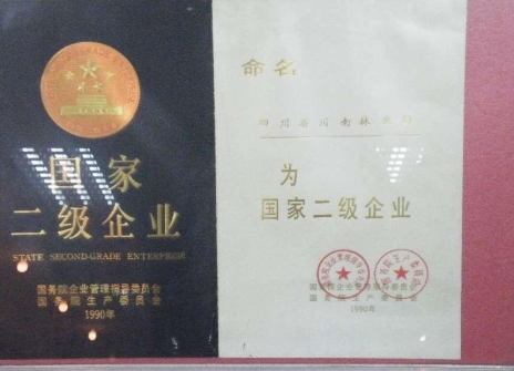 二級(jí)企業(yè)