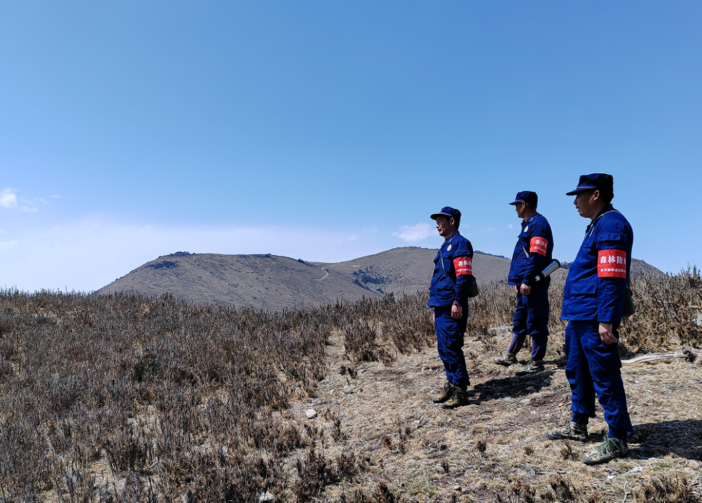 圖片3.png 圖片3.png