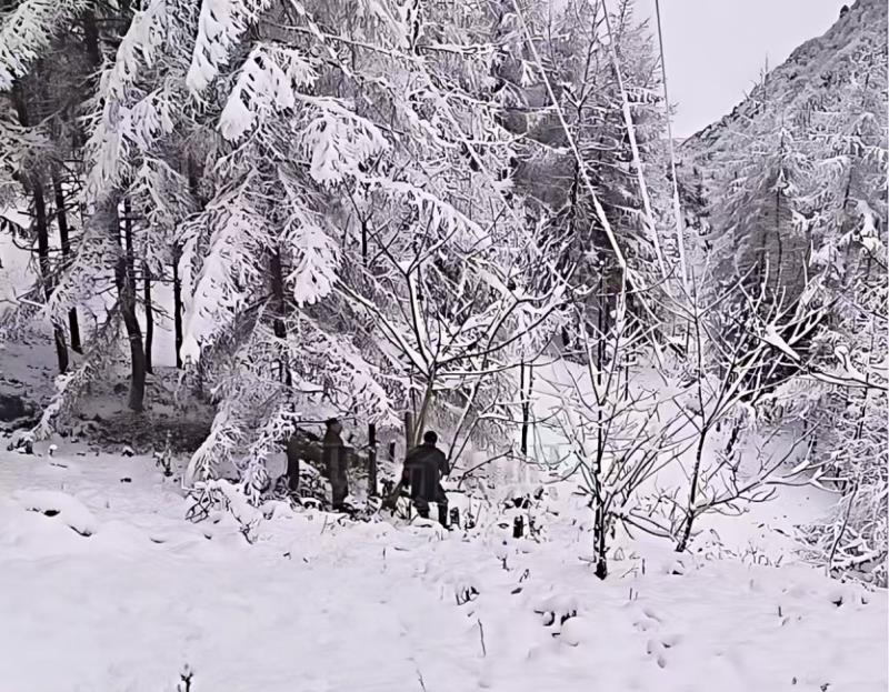 96132793f68c5fbde1cceba79f0bcf5.jpg 96132793f68c5fbde1cceba79f0bcf5.jpg